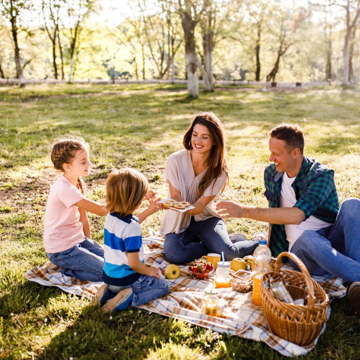 family on a picnic